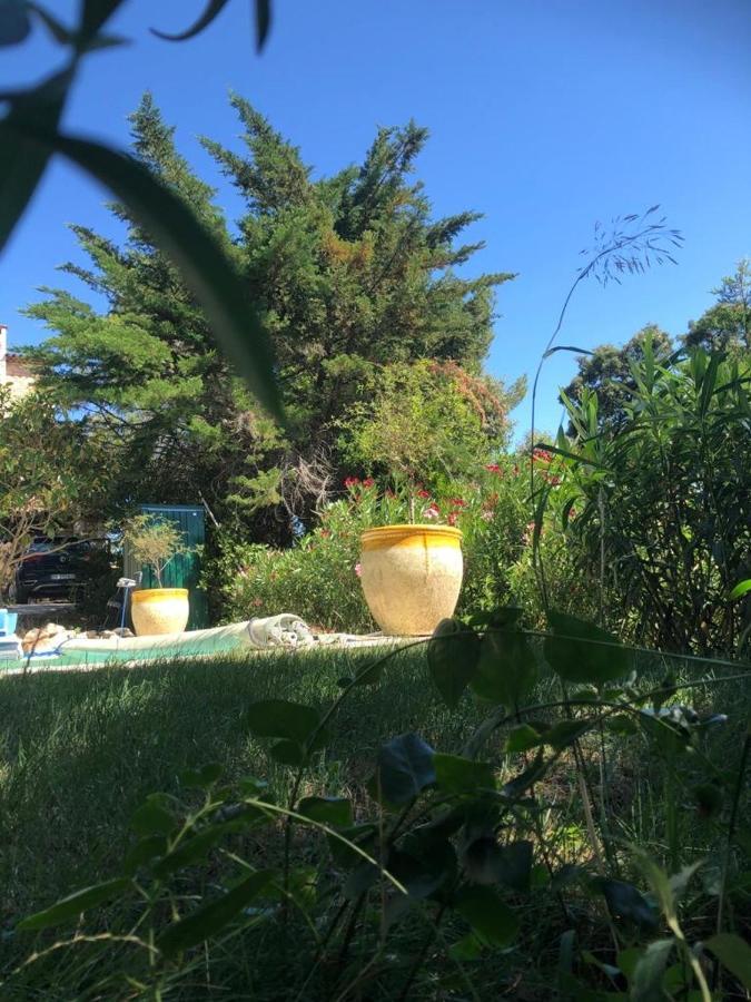 B&B Oasis Des Lavandes - Chambre Coqueliot Villeneuve-lès-Avignon Екстериор снимка