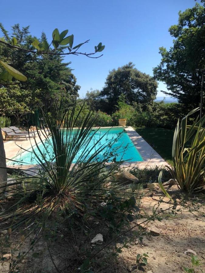 B&B Oasis Des Lavandes - Chambre Coqueliot Villeneuve-lès-Avignon Екстериор снимка